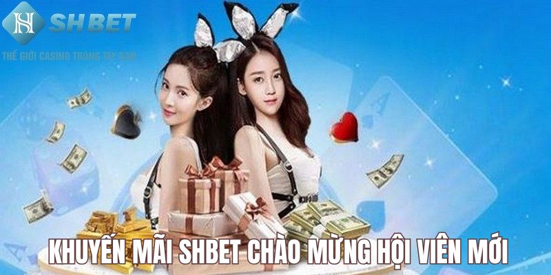 Thành viên mới nhận khuyến mãi SHBET chào mừng hấp dẫn